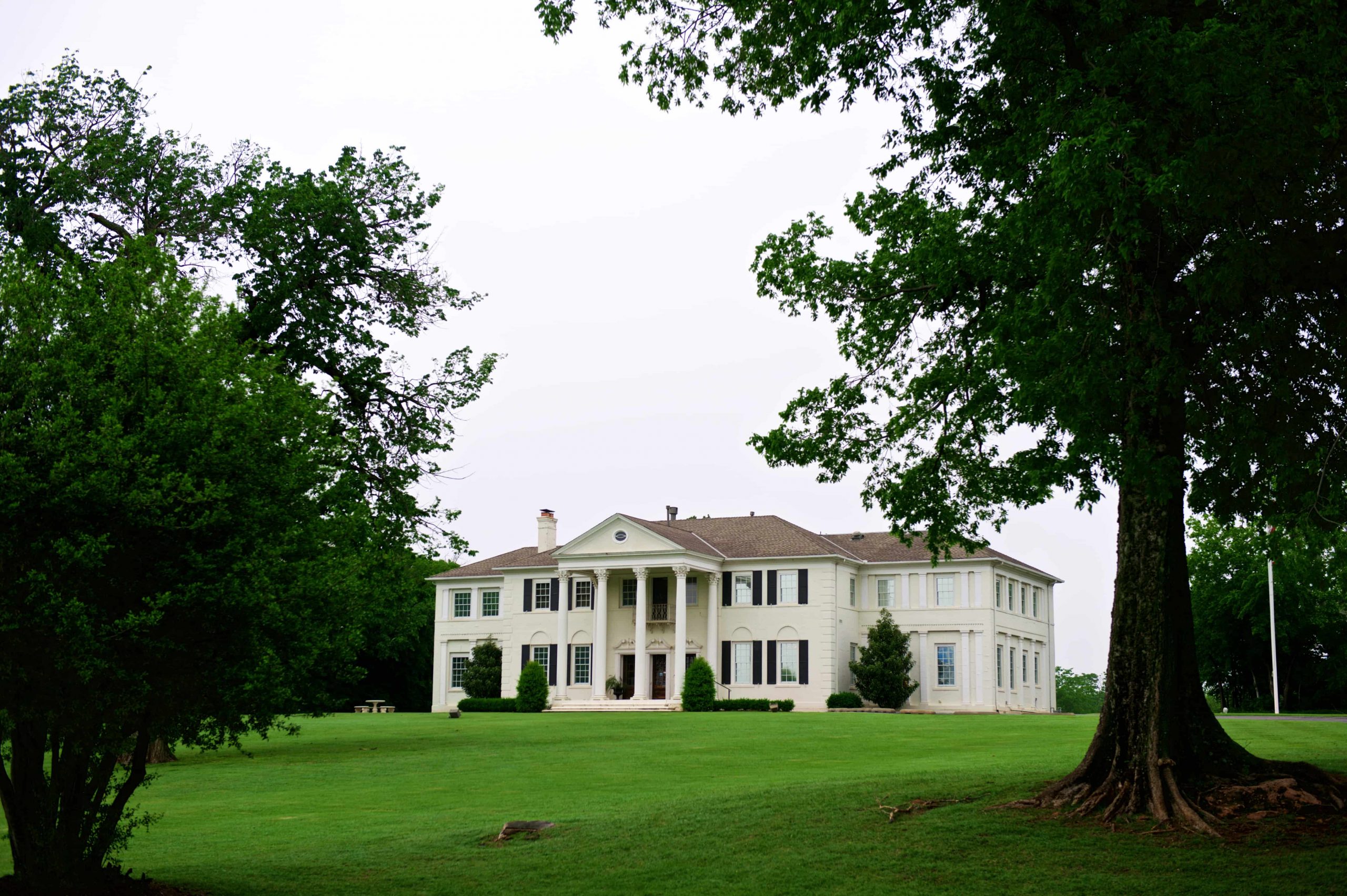 White house image content