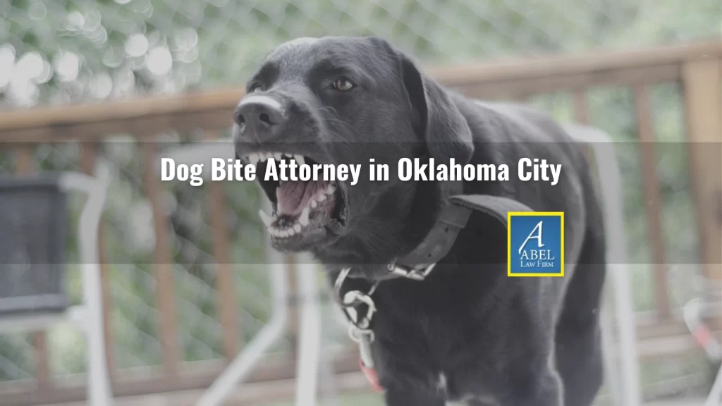 Dog Bite Attorney in Oklahoma City